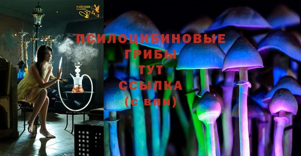 гидра Нягань