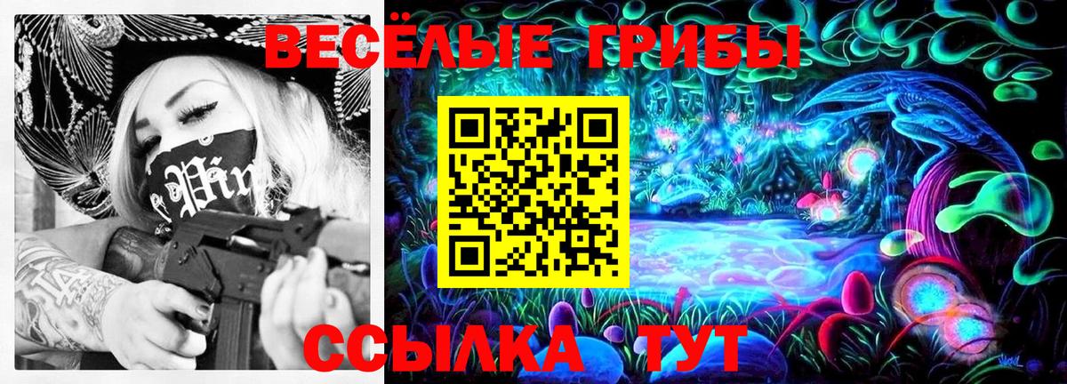 Галлюциногенные грибы MAGIC MUSHROOMS  Галлюциногенные грибы GOLDEN TEACHER  как найти наркотики  Вход с VPN  Североморск 