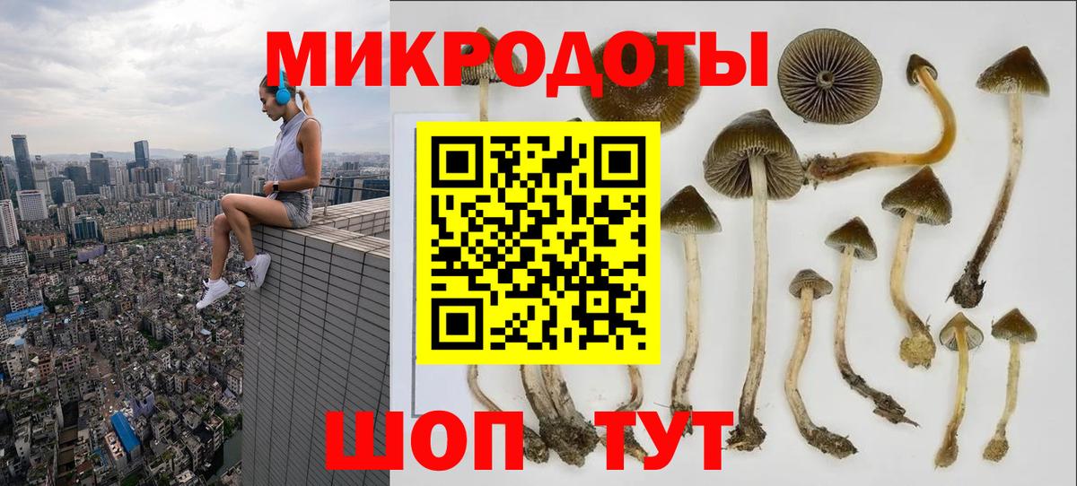 МЕФ   Гашиш  Канабис  ГАШИШ  A-PVP СОЛЬ   Североморск  Вход с VPN 