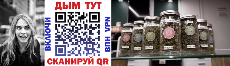Шишки марихуана Ganja  продажа наркотиков  кракен зеркало  Североморск 